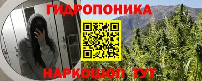 ПСИЛОЦИБИНОВЫЕ ГРИБЫ Лесосибирск