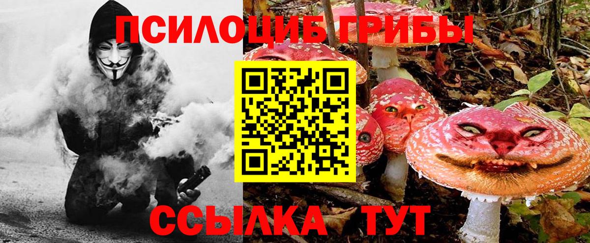 Ялуторовск  Псилоцибиновые грибы мицелий  Вход с VPN 